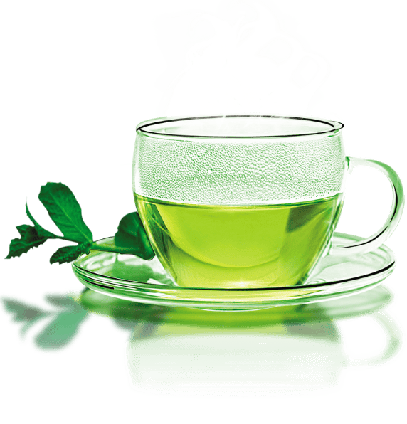 untitled design (13)